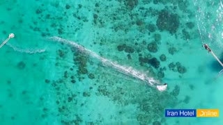 جاذبه های گردشگری کیش