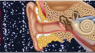 مبانی صدا:بخش دوم:انتشار صوت