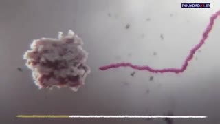 انیمیشن نحوه عملکرد ویروس کرونا در بدن