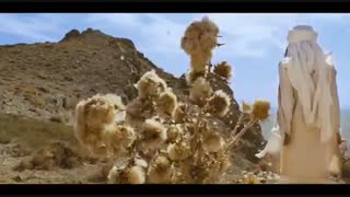 برسد به گوش جهانیان