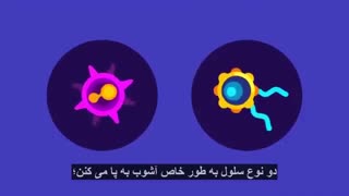 شناخت کامل ویروس کرونا و نحوه مقابله با آن