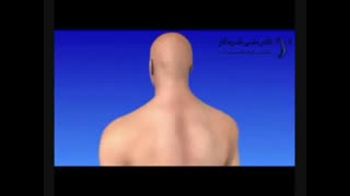 علل گردن درد و درمان آن