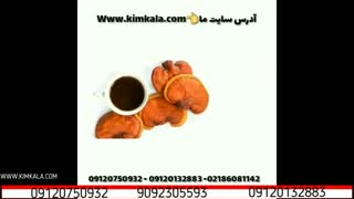 قهوه گانودرما | لاته گانودرما | 09120132883 | گانودرما برای لاغری | گانودرما و سرطان | قهوه فوری گانودرما | خرید گانودرما خارجی