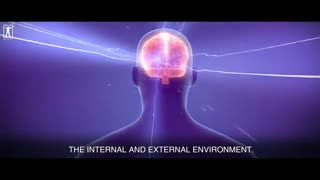 The Most Eye Opening Ten Minutes Of Your Life