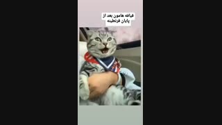 بعد از کرونا...