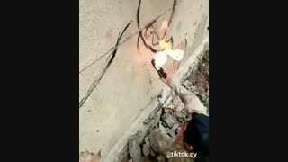 منم اول فککردم