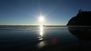 Do It Now Sometimes Later Becomes Never