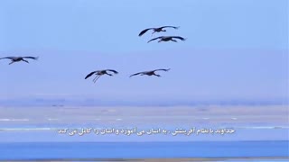 از روح خدایی انسان تا خدا