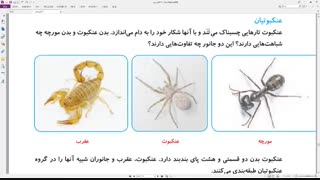 چهارم علوم تدریس فصل 11 بی مهره ها قسمت 2