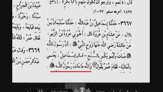عمر بن خطاب معتقد بود رسول خدا از دنیا نمیرود و گفت هر کس بگوید پیامبر وفات کرده دست و پایش قطع میشود