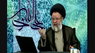 بنا به قول ابن تیمیه تعداد زیادی از صحابه بغض امیرالمومنین  را در دل داشتند و به آن حضرت فحش می دادند و با ایشان می جنگیدند