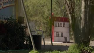 فیلم شکار The Hunt 2020