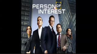 سریال انگلیسی Person of Interest