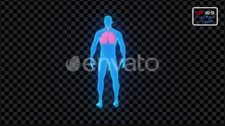 مجموعه فوتیج ویروس و عفونت Virus Infection Medical Body