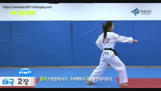 فرم دو تکواندو تگوگ ای جانگ