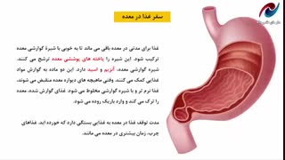 تدریس فصل 13 علوم هفتم ( سفر غذا )