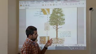 علوم نهم - فصل 12