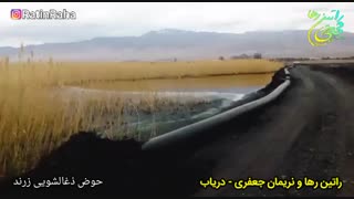 آهنگ شاد «دریاب» از راتین رها و نریمان جعفری + تصاویری از حوض ذغالشویی زرند