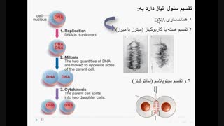 مروری بر مباحث گذشته. جلسه اول