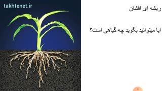 علوم سوم ابتدایی درس یازدهم بکار و ببین