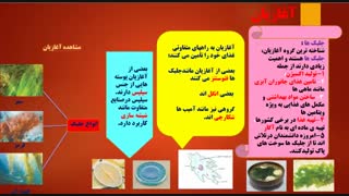 تدریس فصل 11 علوم تجربی پایه نهم