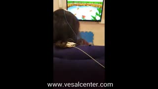 استفاده از نوروفیدبک برای کودکان به عنوان درمان مکمل دارو