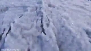 انیمه کوتاه جذاب