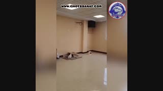 در حال آماده سازی شوروم شرکت قطب صنعت