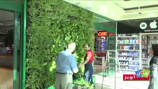 اجرای دیوار سبز در محیط عمومی و تجاری(مجتمع تجاری الماس شرق مشهد)