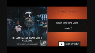 دانلود آهنگ معین زد به نام دلم برات تنگ میشه