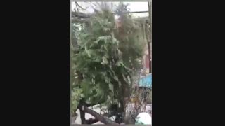 اقامتگاه بومگردی  مهرو ماه در شهر کرد روستای تشنیز