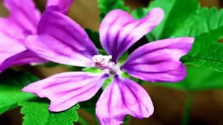 #یک-تغییر- اساسی -در- کانال