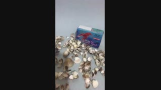 صابون ضدجوش و روشن کننده پوست میگو والنسی | روشا
