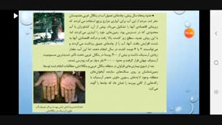 06.زمین._ازوجی.نمونه_دولتی_عفاف