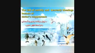 The Global Plan of  Who is savior?