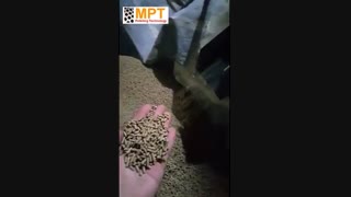 دستگاه پلت ساز غذای ماهی و میگو