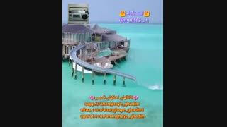 اهنگی فوق العاده با منظره ای زیبا ( اینسستگرام moritez._.n@ )