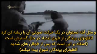 #پیشبینی #ویروس #کرونا در آهنگی هفت سال قبل، موسسه مهاجرت تحصیلی | GO2TR