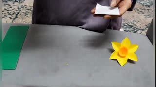 (Daffodil flowe (grade3