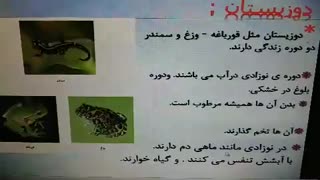 مدارس جوانه های مشهد خانم اسداللهی تدریس علوم درس هر کدام جای خود(1) دوزیستان