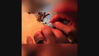 چجوری با پایه لول کار کنیم؟