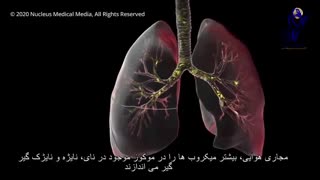 کرونا ویروس چگونه به بدن حمله میکند؟بخش2