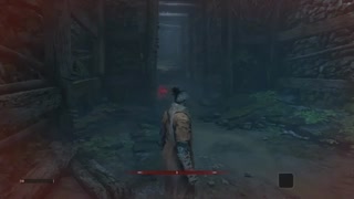 ویدئوی تست مد چند نفره بازی Sekiro: Shadows Die Twice