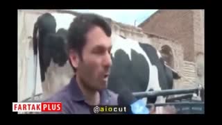 شهروند قمی: گاو برای شما، حساب ضامنم را باز کنید!