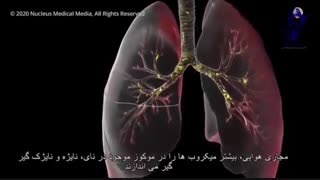 ویروس کرونا چگونه عمل می کنه؟ ( پارت اول)