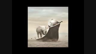 حب اهل بیت(علیهم السلام)