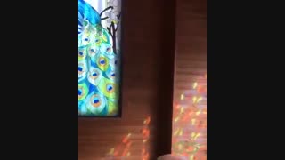 طراحی طاووس روی شیشه دکوراتیو و تزئینی رستوران میلاد ابهر