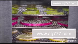 دستگاه خشک کن زنجبیل