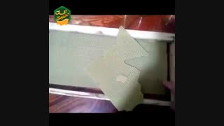 تفاوت عسل چمبره با عسل با موم مصنوعی