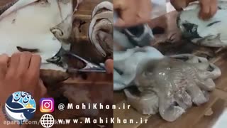 پاک کردن ماهی مرکب  - ماهی خان